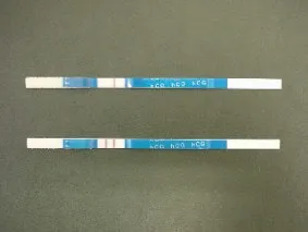 ステップ4