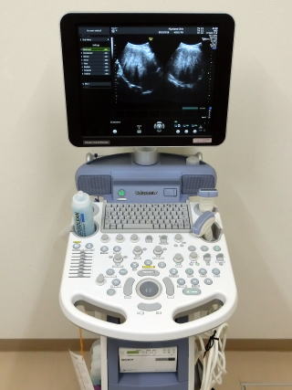 超音波診断装置（GE Vulson P6）