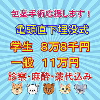 包茎手術応援キャンペーン