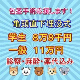 包茎手術応援キャンペーン