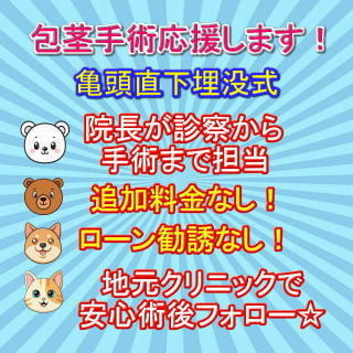 包茎手術応援キャンペーン 詳細